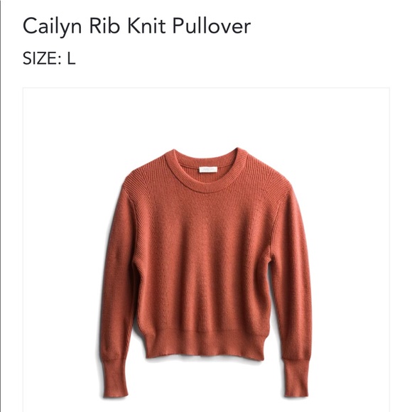Sophie Rue Sweaters - Burnt Orange Crop Sweater